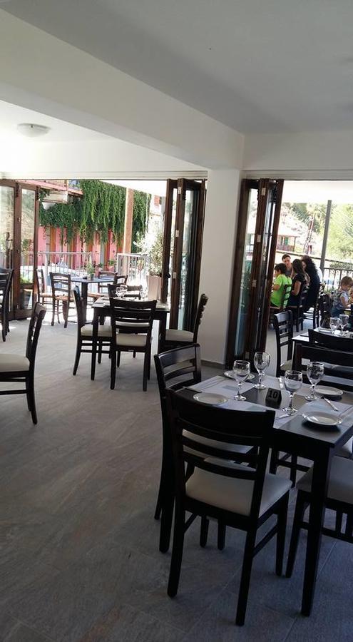 Aparthotel Theoxenia à Kalopanagiotis Extérieur photo